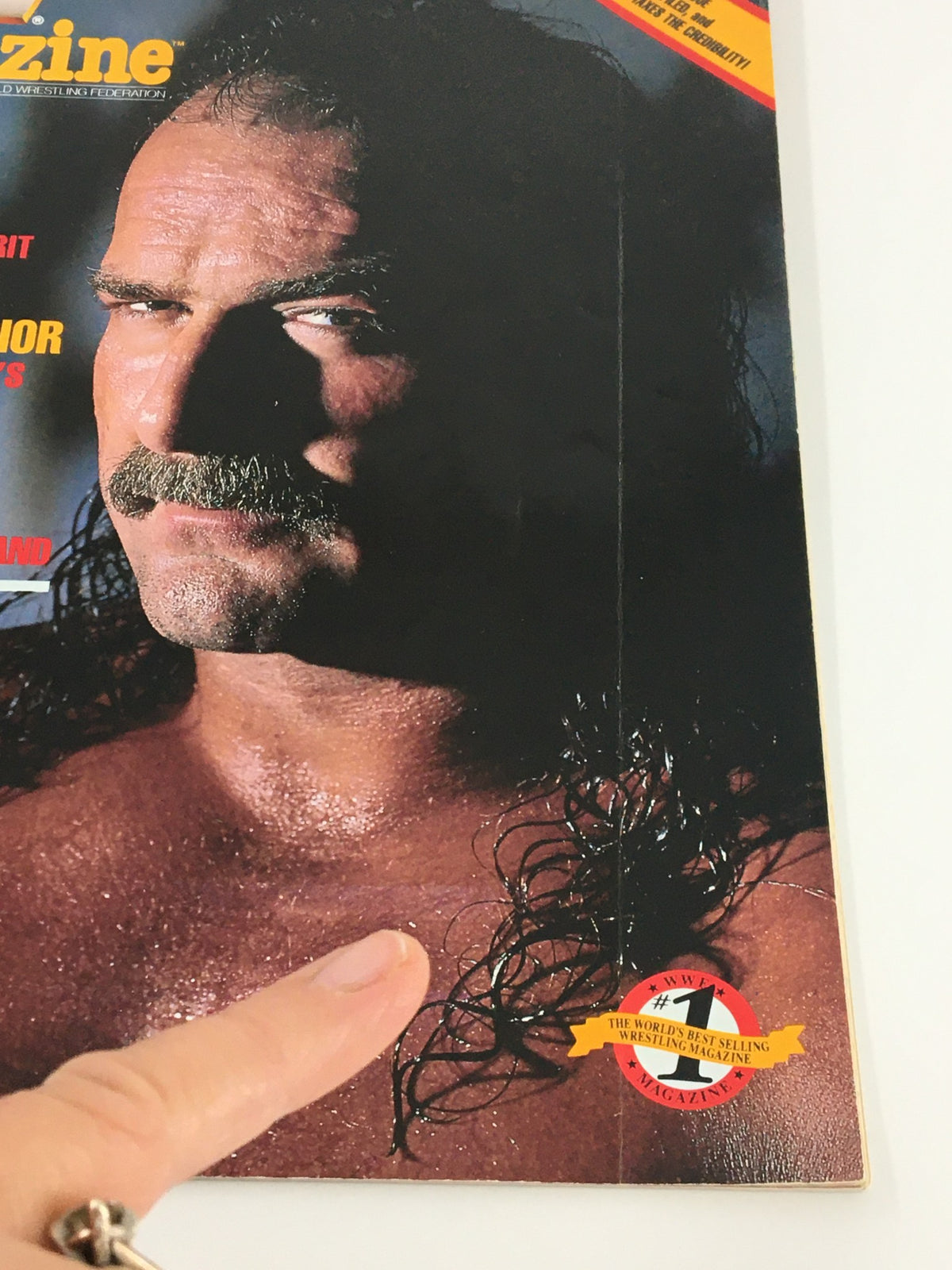Close-up of the cover of the vintage WWF Magazine from July 1991 showcasing Jake the Snake Roberts. The cover includes attention-grabbing headlines about wrestlers and events, emphasizing its collectible nature.
