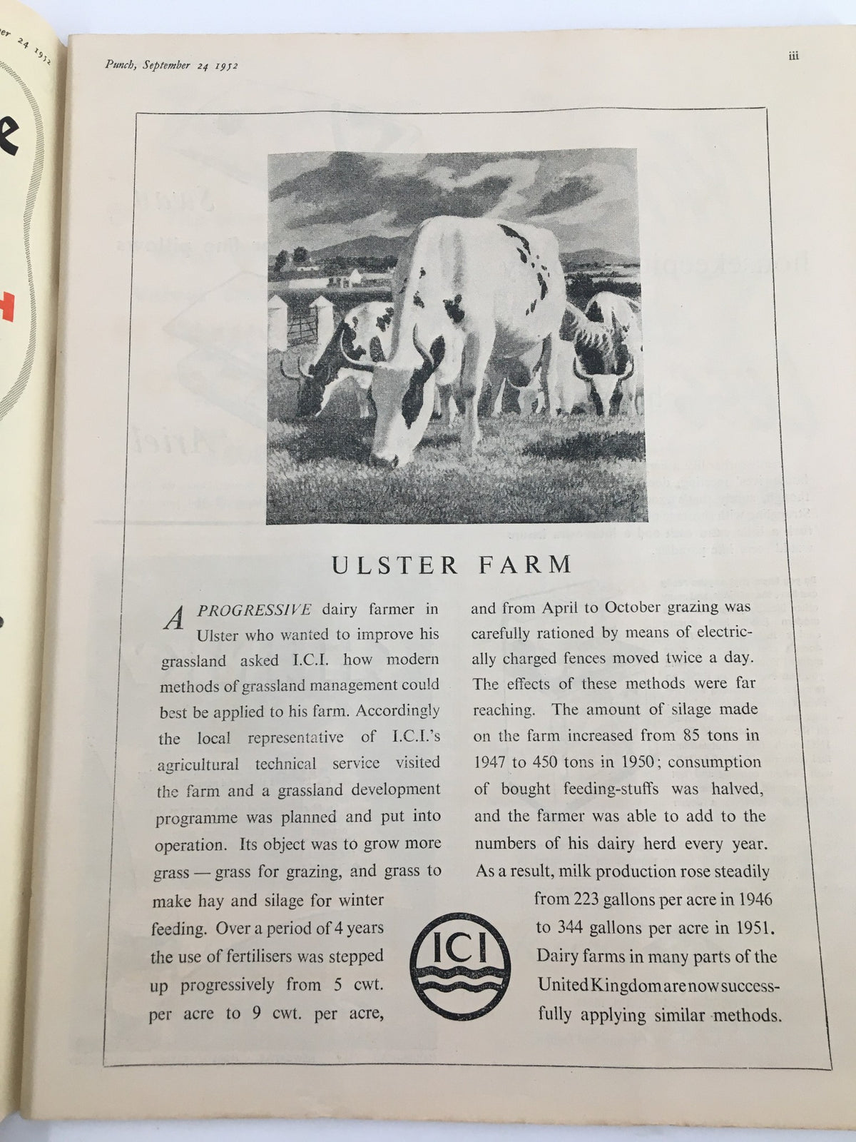 Inside page of the Vintage Punch magazine from September 24, 1952, featuring an article titled 'Ulster Farm' with a detailed illustration of dairy cows.