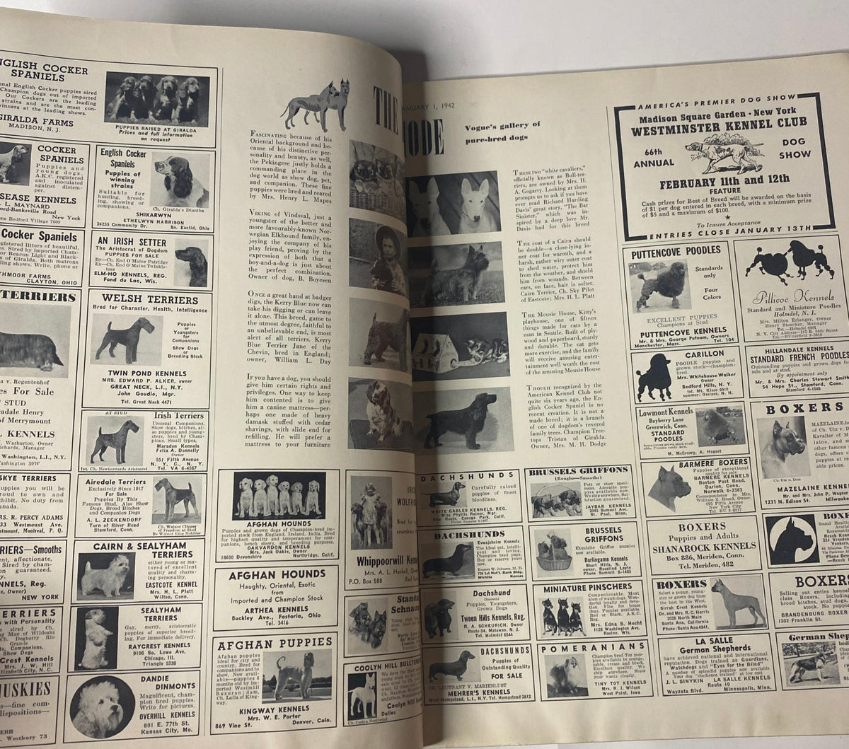 Vintage advertisement page in Vogue Magazine January 1, 1942, displaying dog breed listings and a gallery of canine portraits for dog lovers.