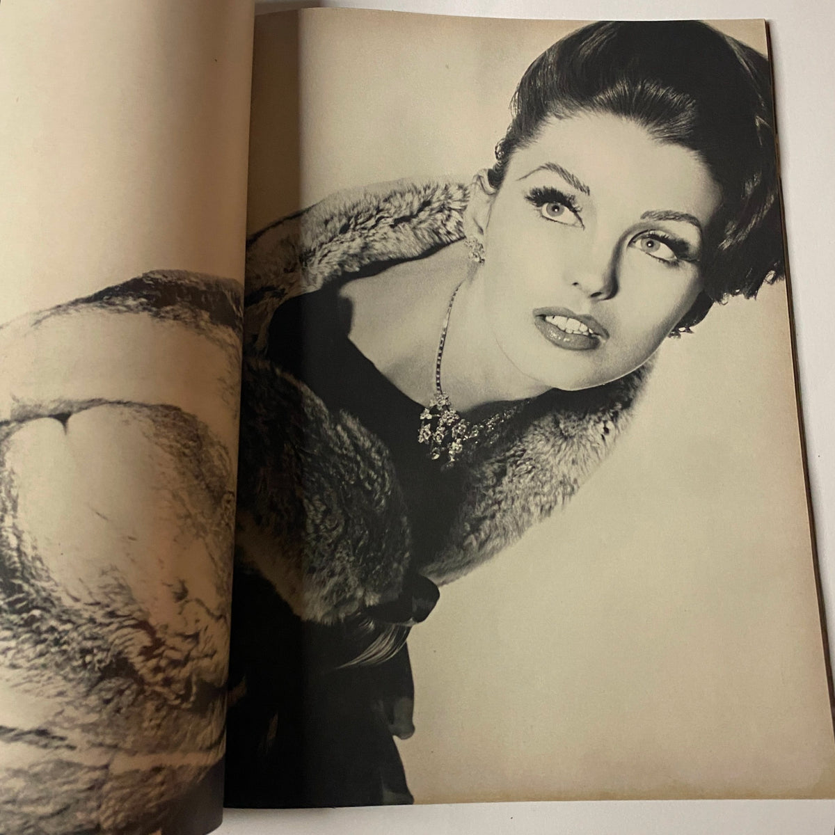 Black and white portrait from Vogue Magazine November 15, 1961 showcasing a glamorous model adorned with luxurious fur and jewelry, highlighting classic beauty standards of the era.