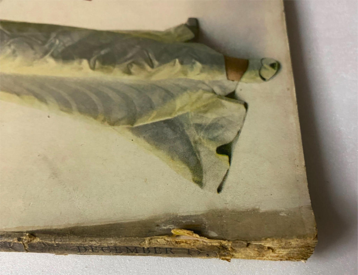 Detail of the December 15, 1946 Vogue Magazine, highlighting the bottom edge with wear and tear, offering a glimpse into its history and condition.