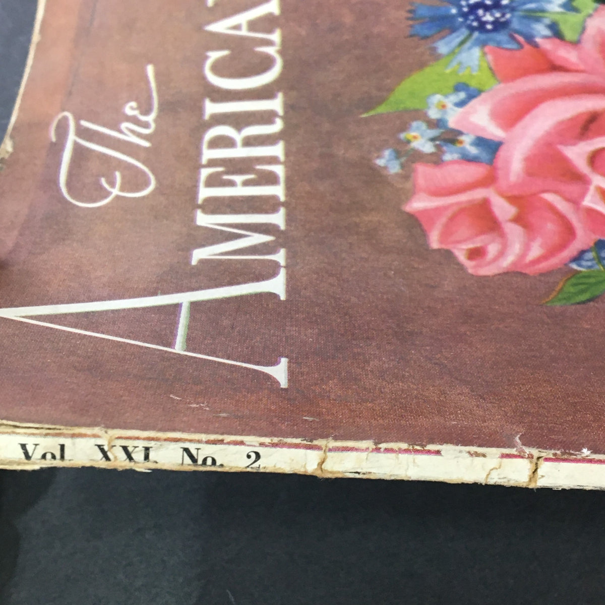 Close-up view of the title section of 'The American Home for 1939 Vol XXL #2' highlighting its volume and issue number.
