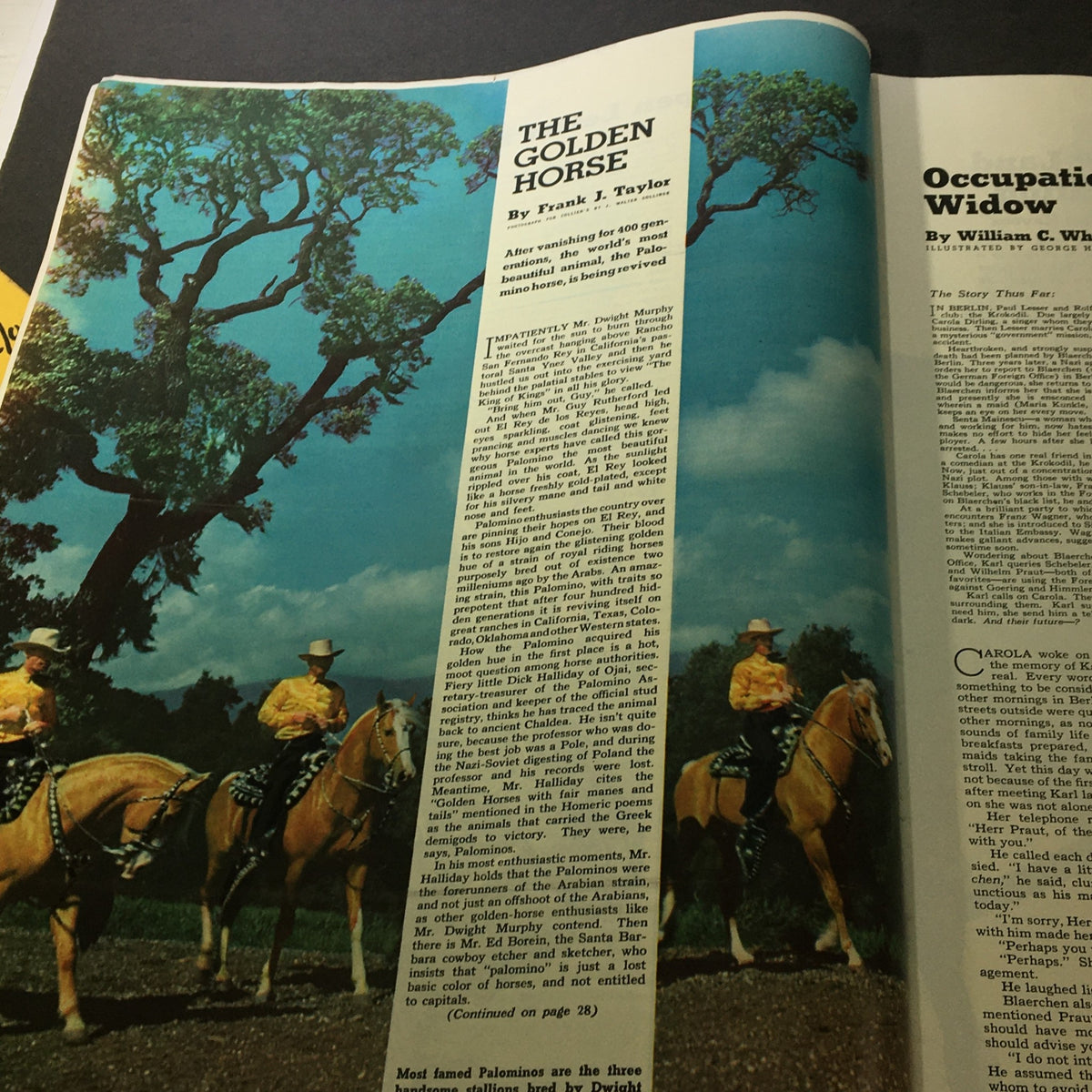 Page from VTG Collier's Magazine July 27 1940 featuring 'The Golden Horse' by Frank J. Taylor, showcasing an image of horses and riders in a vibrant historical context.