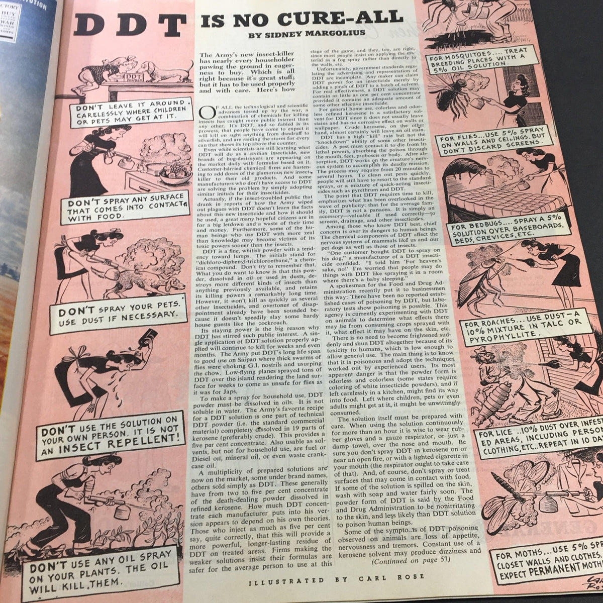 VTG Collier's Magazine November 17, 1945 - Illustration accompanying the article 'DDT Is No Cure-All' by Sidney Margolius, discussing safety measures for using DDT.