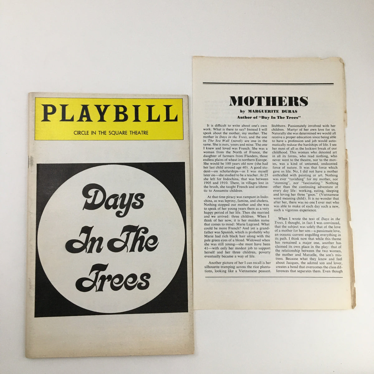 Cover of the 1976 Playbill for 'Days in the Trees' at Circle in the Square Theatre featuring a vibrant design.