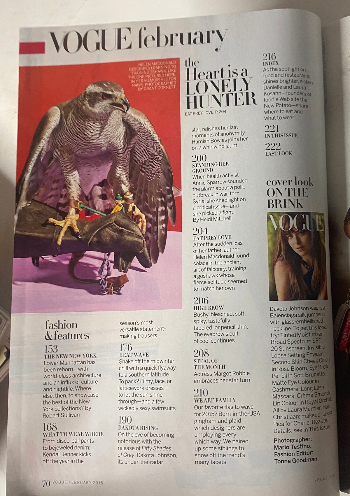 Vogue Magazine February 2015 Dakota Johnson Cover featuring a dramatic falcon illustration and headlines about cultural topics, including Dakota Rising and the arts.