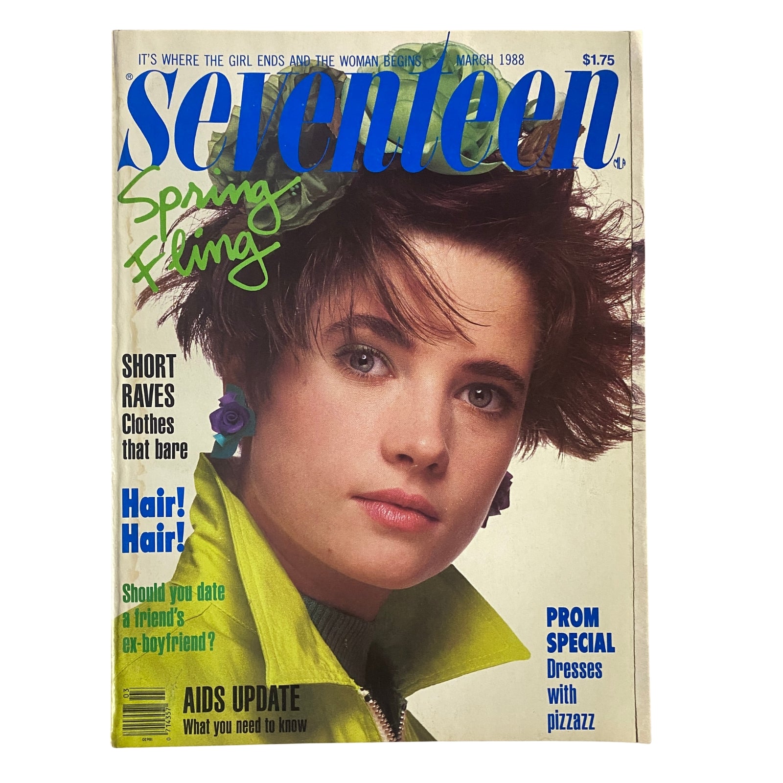 Vintage Seventeen Magazine Collection