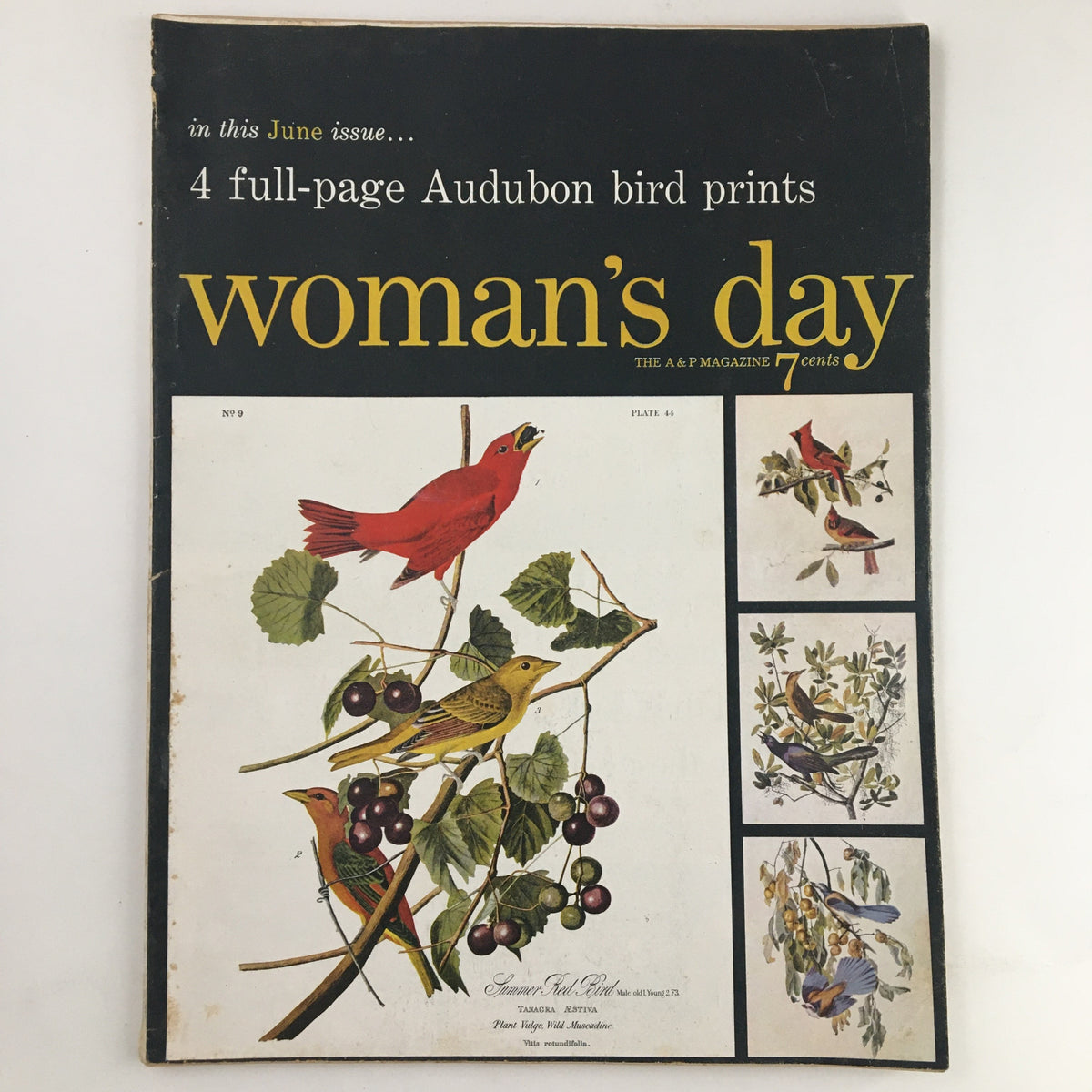 Cover of Woman's Day Magazine June 1954 featuring full-page Audubon bird prints, showcasing a vibrant red bird and various other species.
