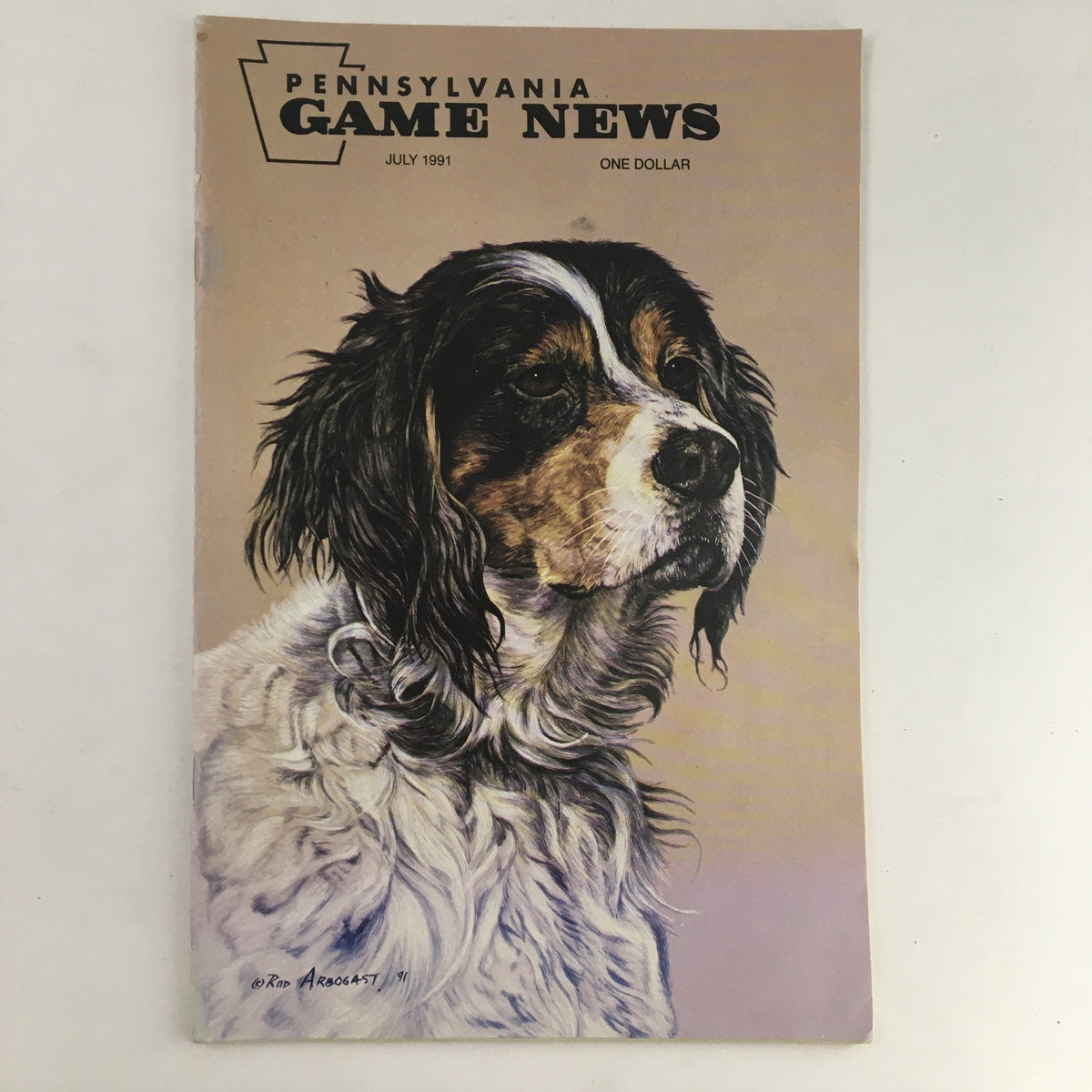 Cover of Pennsylvania Game News July 1991 edition featuring a painted portrait of a hunting dog, highlighting the theme 'Hunting is a Booming Business'.