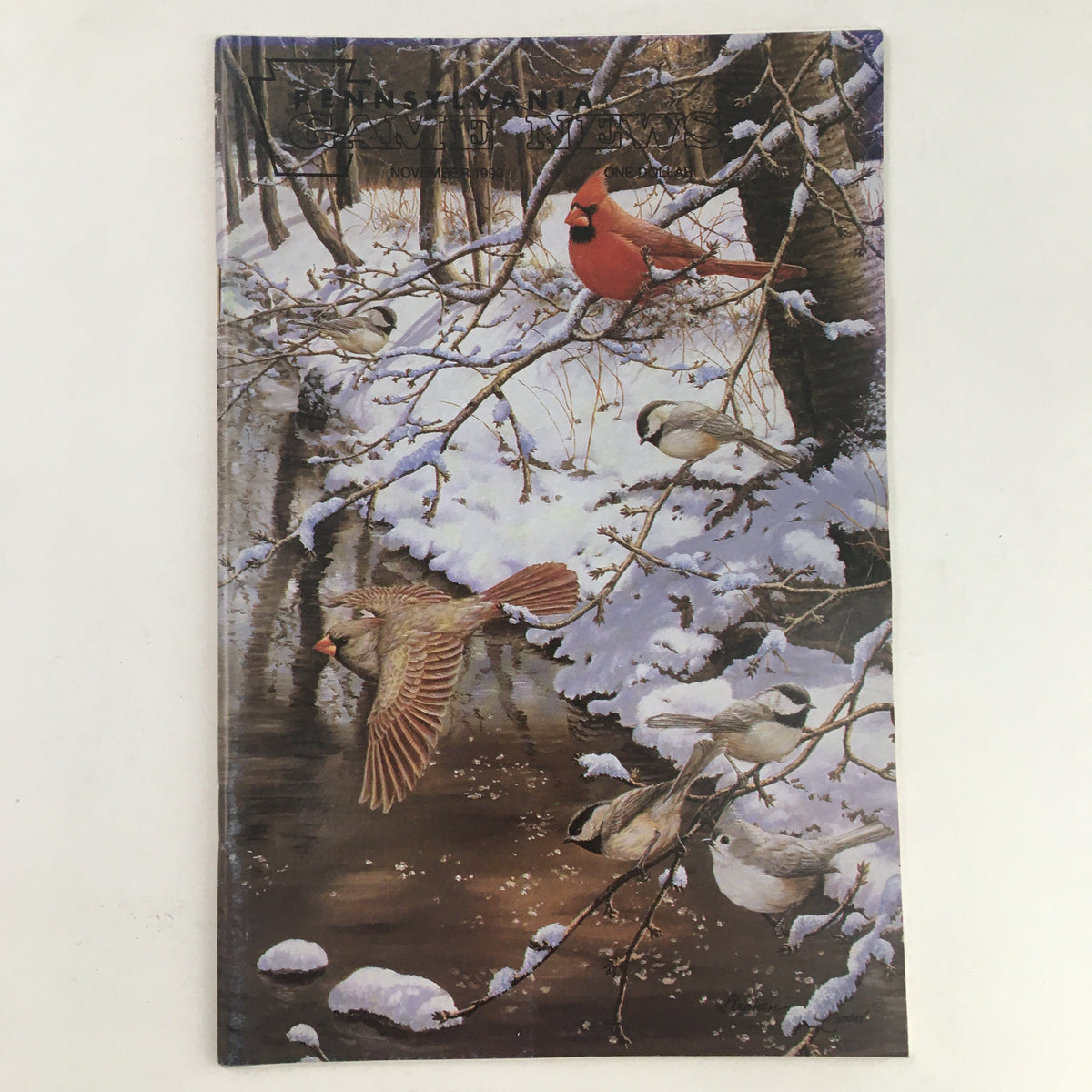Cover of Pennsylvania Game News November 1993 featuring vibrant artwork of a cardinal and various birds in a snowy landscape, illustrating the theme of wildlife in winter.