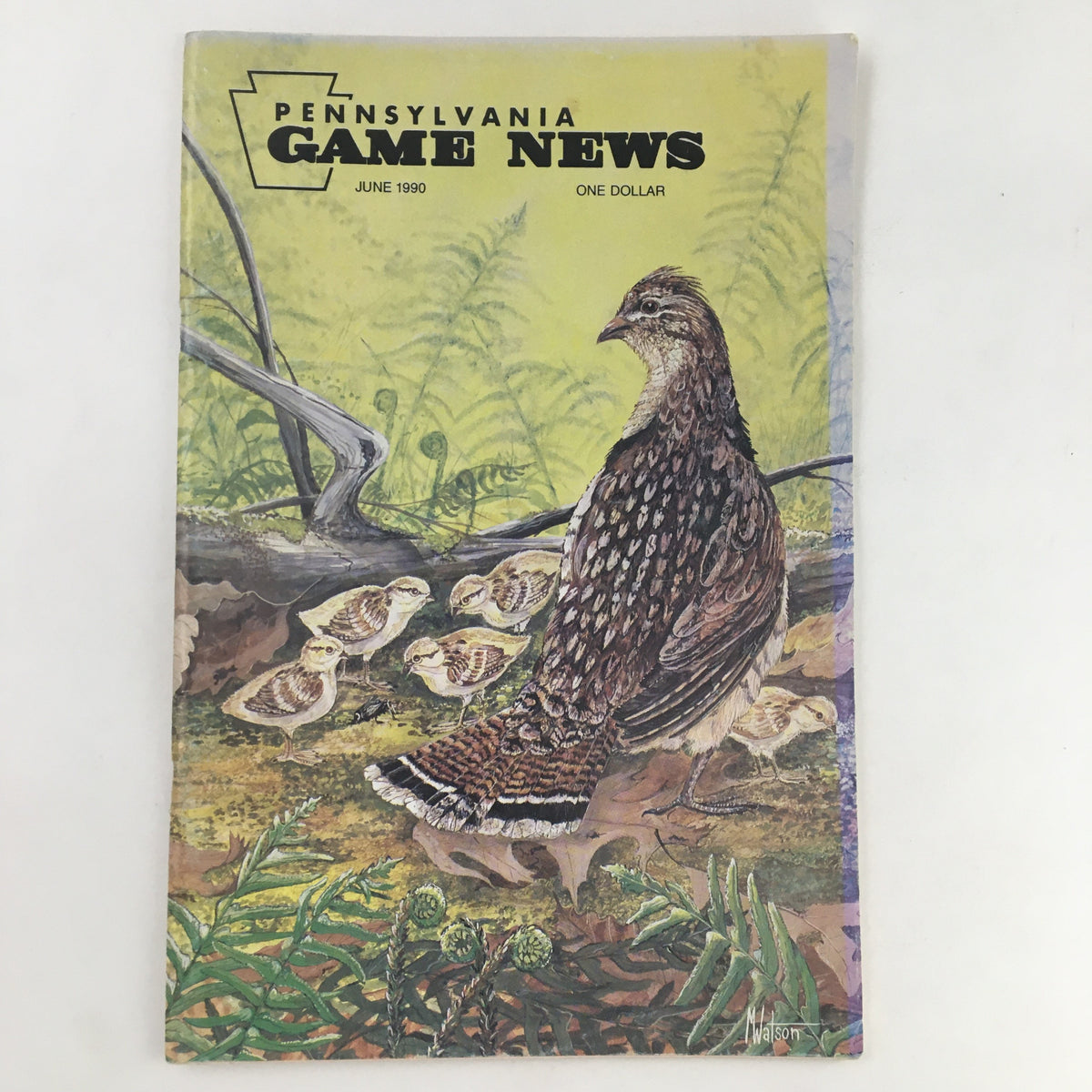 Cover of Pennsylvania Game News June 1990, featuring an illustration of a bird surrounded by chicks and natural foliage, highlighting Pennsylvania's wildlife.