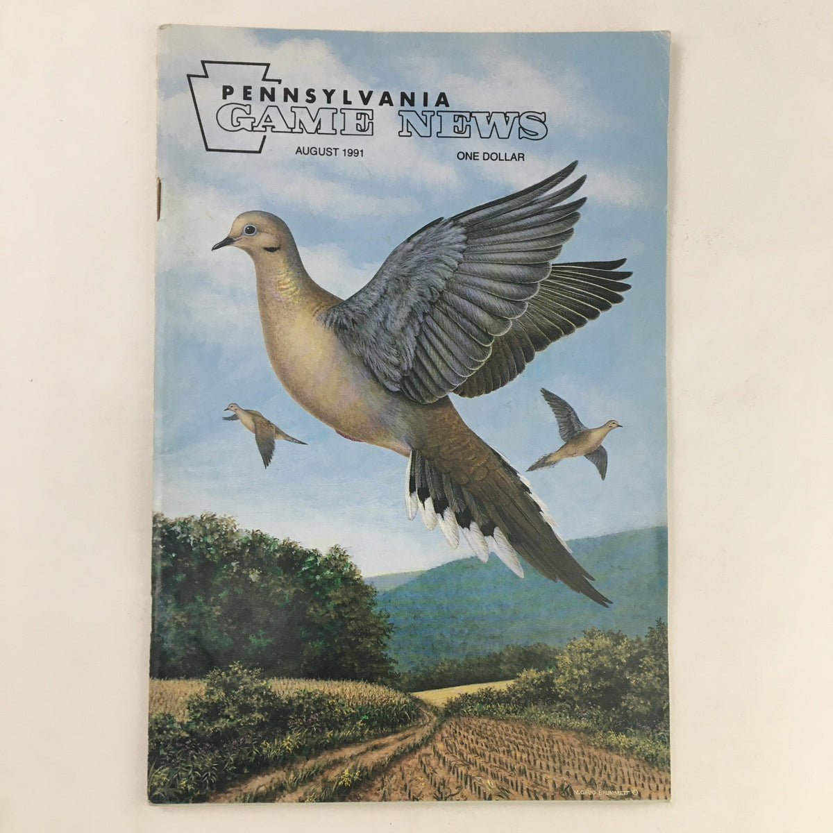 Cover of Pennsylvania Game News August 1991 featuring a hand-painted illustration of a bird in flight with a scenic background including hills and trees. Title: Pennsylvania Game News August 1991 The Pennsylvania Waterfowl Management Plan.