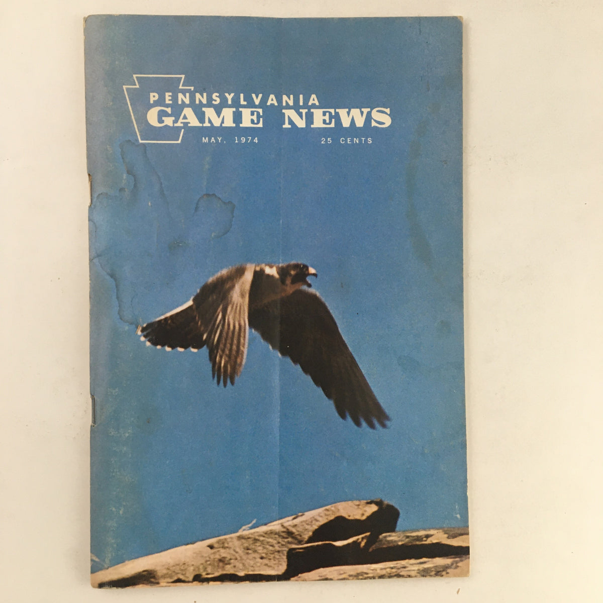 Cover of Pennsylvania Game News May 1974 featuring the article 'The Purple Martin-Insecticide on Wings' showing a bird in flight against a blue sky.