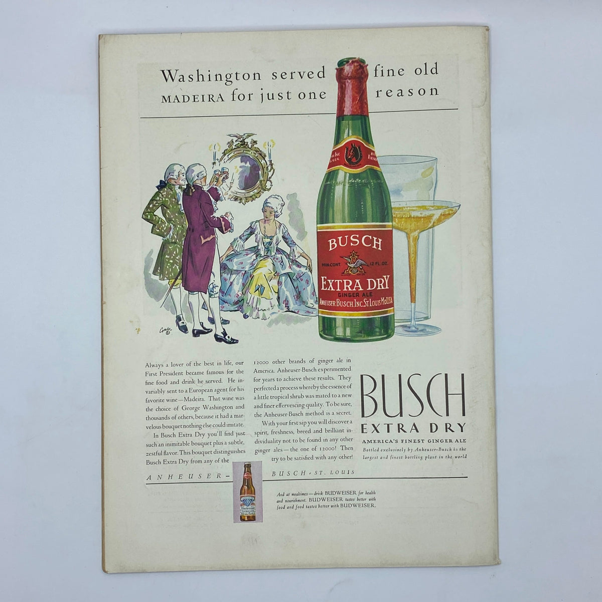 Vintage advertisement for Busch Extra Dry Ginger Ale from The New Yorker Complete Magazine July 25, 1931 Gardner Rea Cover, showcasing the product with a historical context.