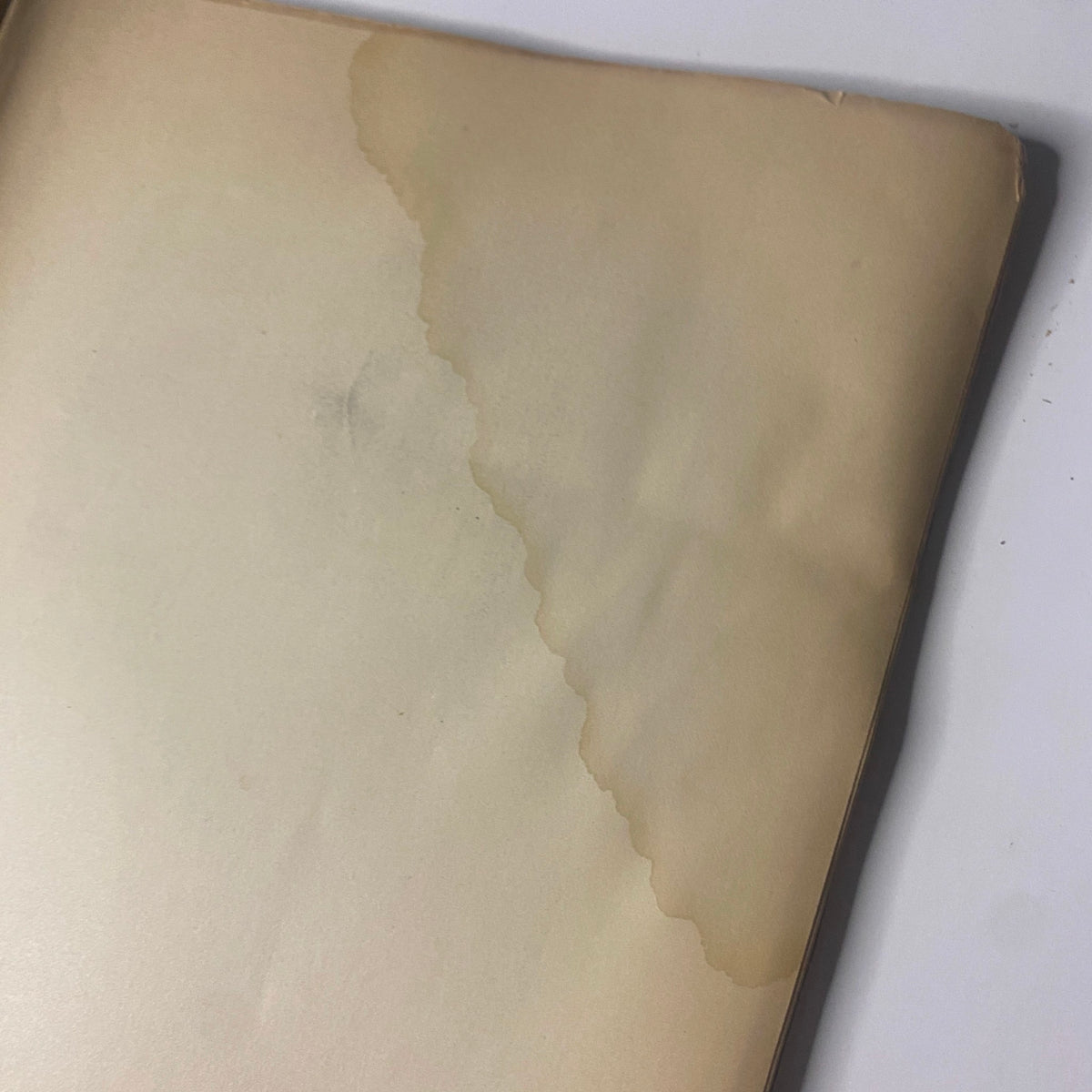 Close-up image showing water damage on a page of 'Around the World with General Grant' by John Russell Young, Part Three, highlighting the book's vintage condition.