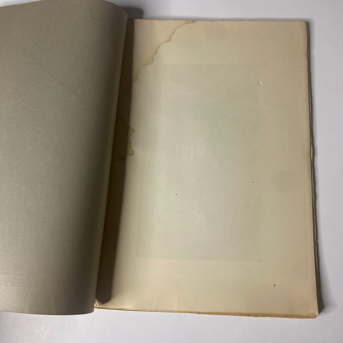 Inside view of 'Around the World with General Grant' by John Russell Young, Part Nineteen, showing a blank page with signs of wear and possible water damage.