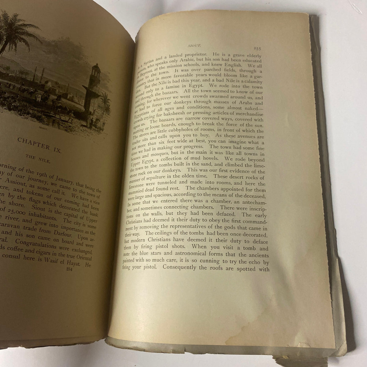 Page from 'Around the World with General Grant' Book by John Russell Young, Part Four, highlighting a chapter with tropical imagery.