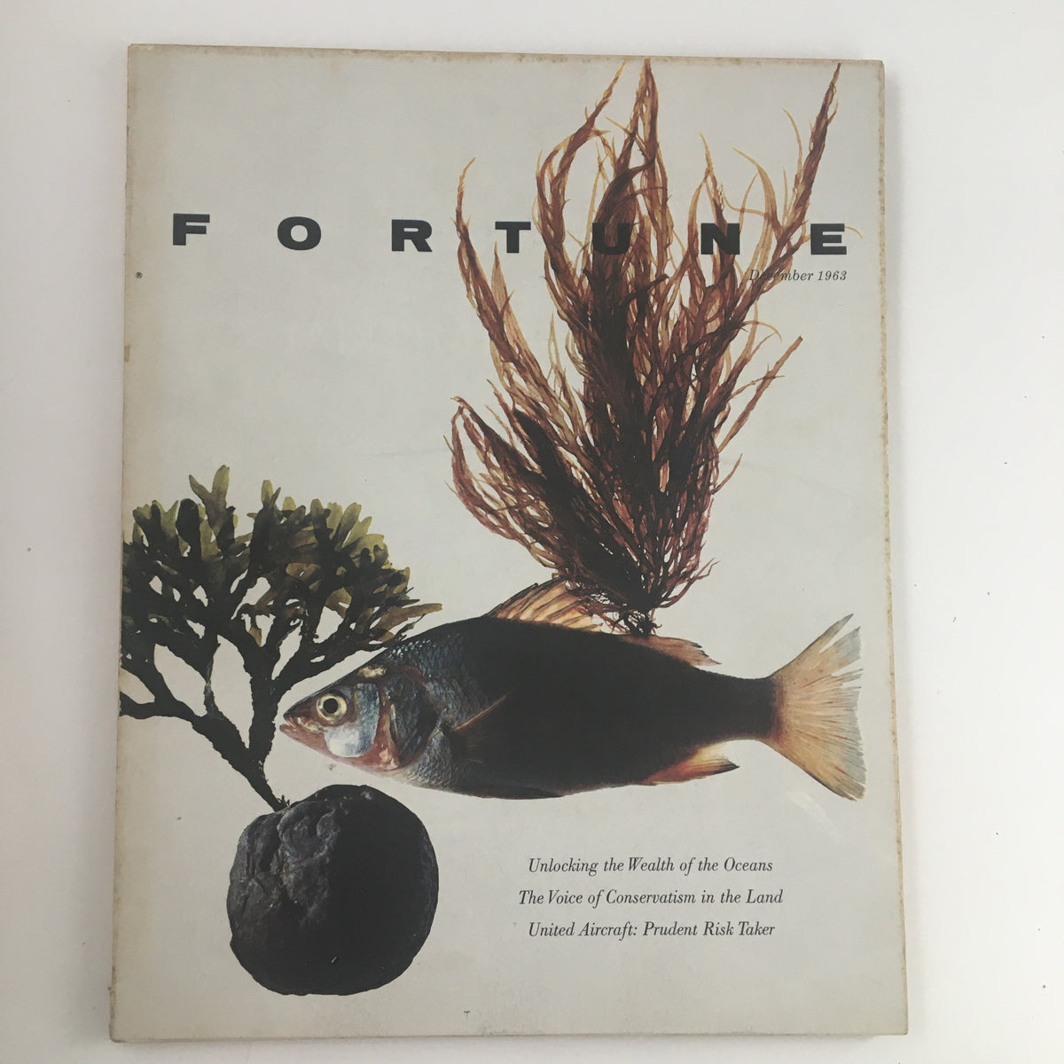 Cover of Fortune Magazine December 1963 titled 'The Voice of Conservatism in the Land' featuring artistic visuals of a fish and seaweed.