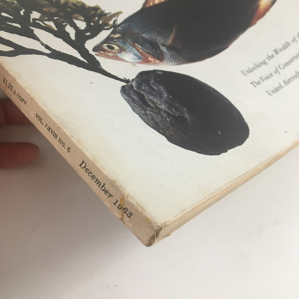 Side view of Fortune Magazine December 1963 showing the spine detail and publication information, including 'VOL. XVIII NO. 6' and 'December 1963'.