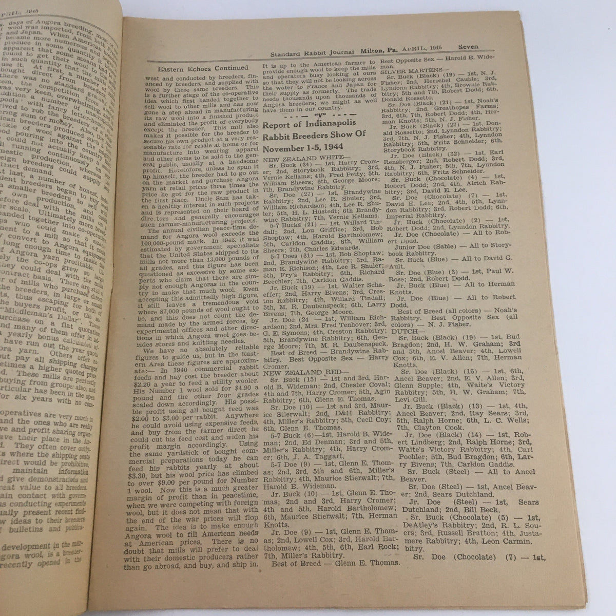 Another interior page of the Standard Rabbit Journal April 1945 detailing reports from the Indianapolis Rabbit Breeders Show and discussing rabbit breeding practices.
