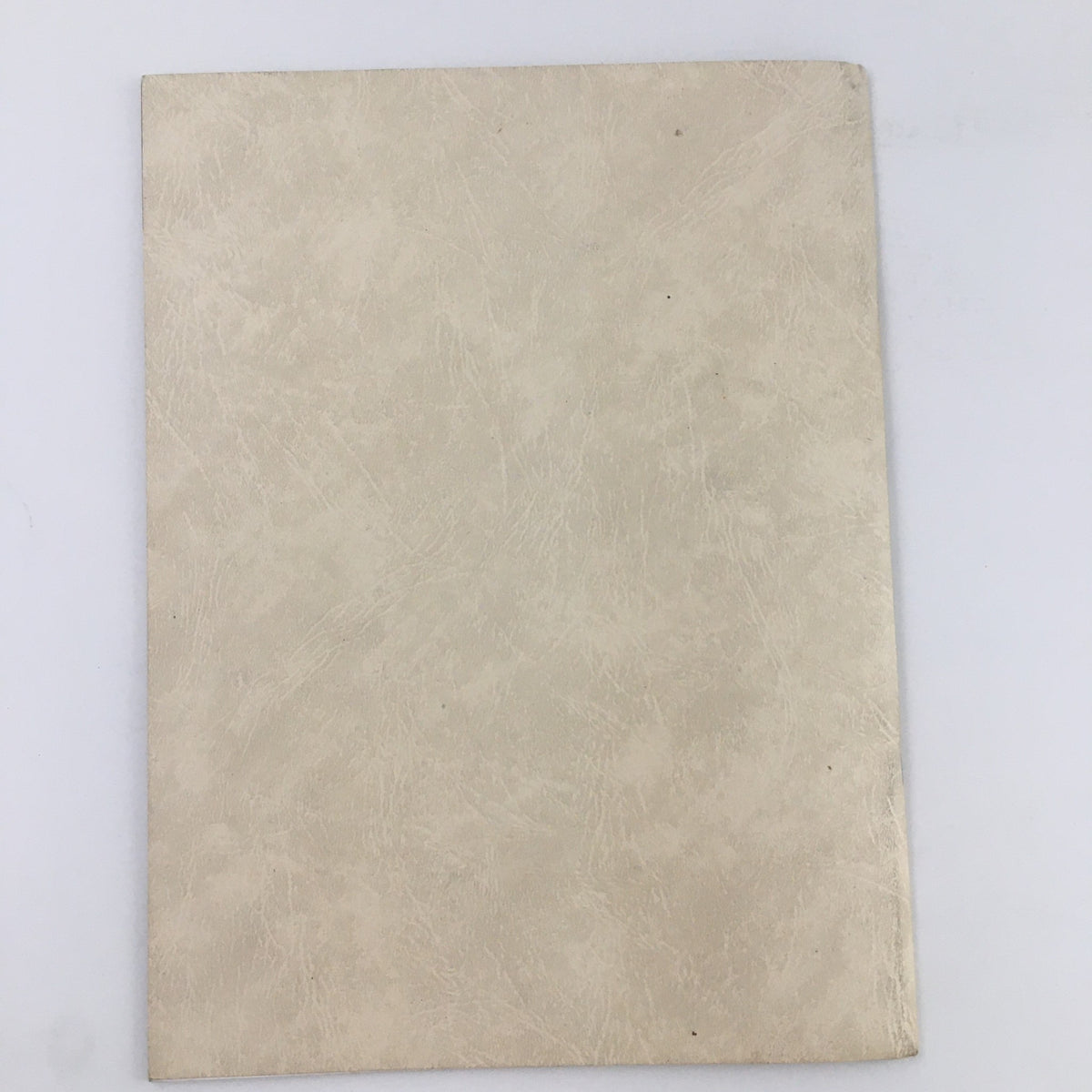1948 Shenandoah Valley Academy School Program image depicting the plain back cover of the program, emphasizing its vintage character and good condition.