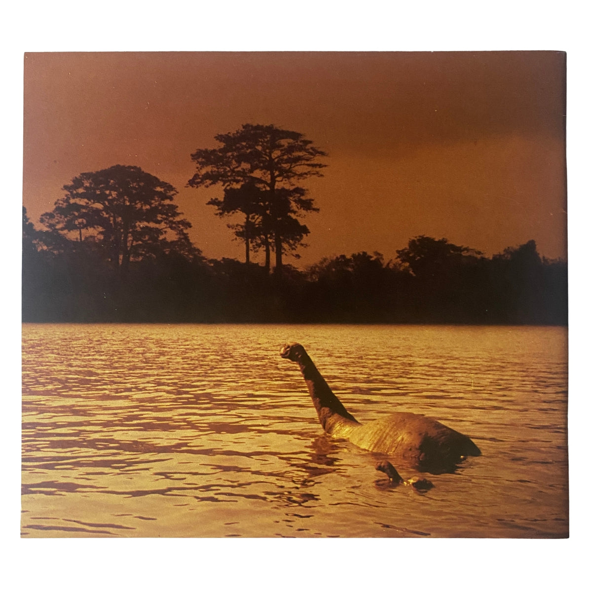 Image from Cinefex Magazine June 1985 No. 22 showcasing a brontosaurus in water, as featured in the article about 'Baby: Secret of the Lost Legend'.