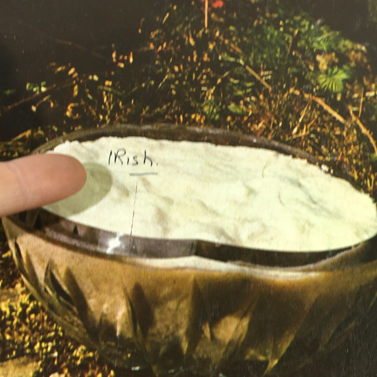 Close-up of the bowl from the VTG Gourmet The Magazine of Good Living September 1969 cover, highlighting the handwritten label 'Fish' on a bed of salt.