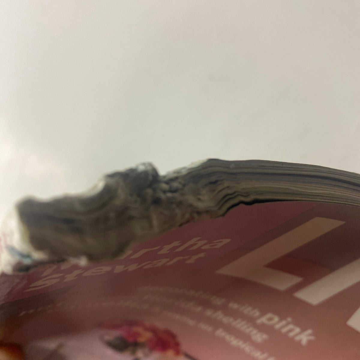 Side view of Martha Stewart Living Magazine February 1997, showing worn edges and some page damage.