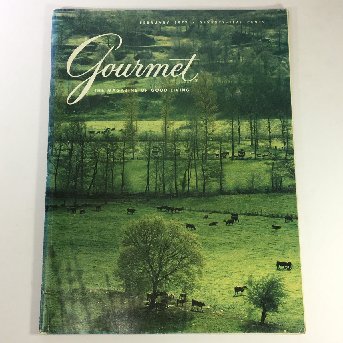 Cover of VTG Gourmet The Magazine of Good Living February 1977 featuring vibrant green fields and grazing cows, highlighting tropical American soups.