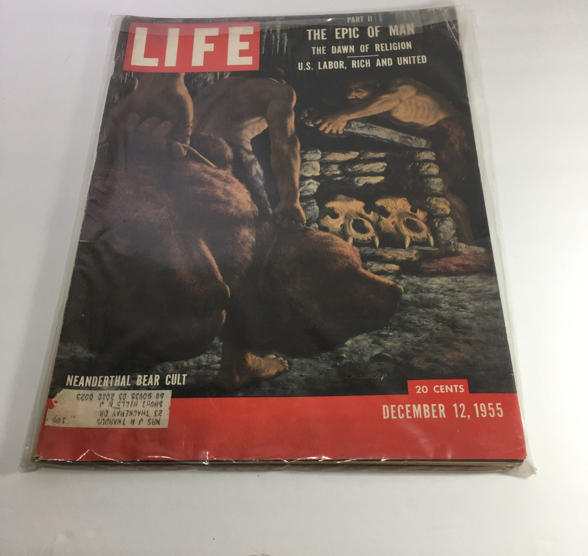 Vintage Life Magazine cover from December 12, 1955, featuring the title 'Neanderthal Bear Cult / The Epic of Man II'. The cover illustrates prehistoric figures in a cave setting, contributing to the exploration of human history.