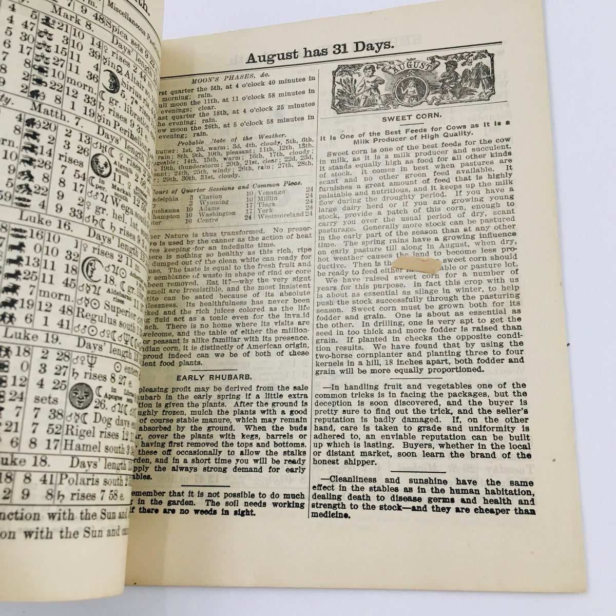 Interior page of the Agricultural Almanac for the Year of Our Lord 1908, highlighting agricultural tips and calendar details for August.