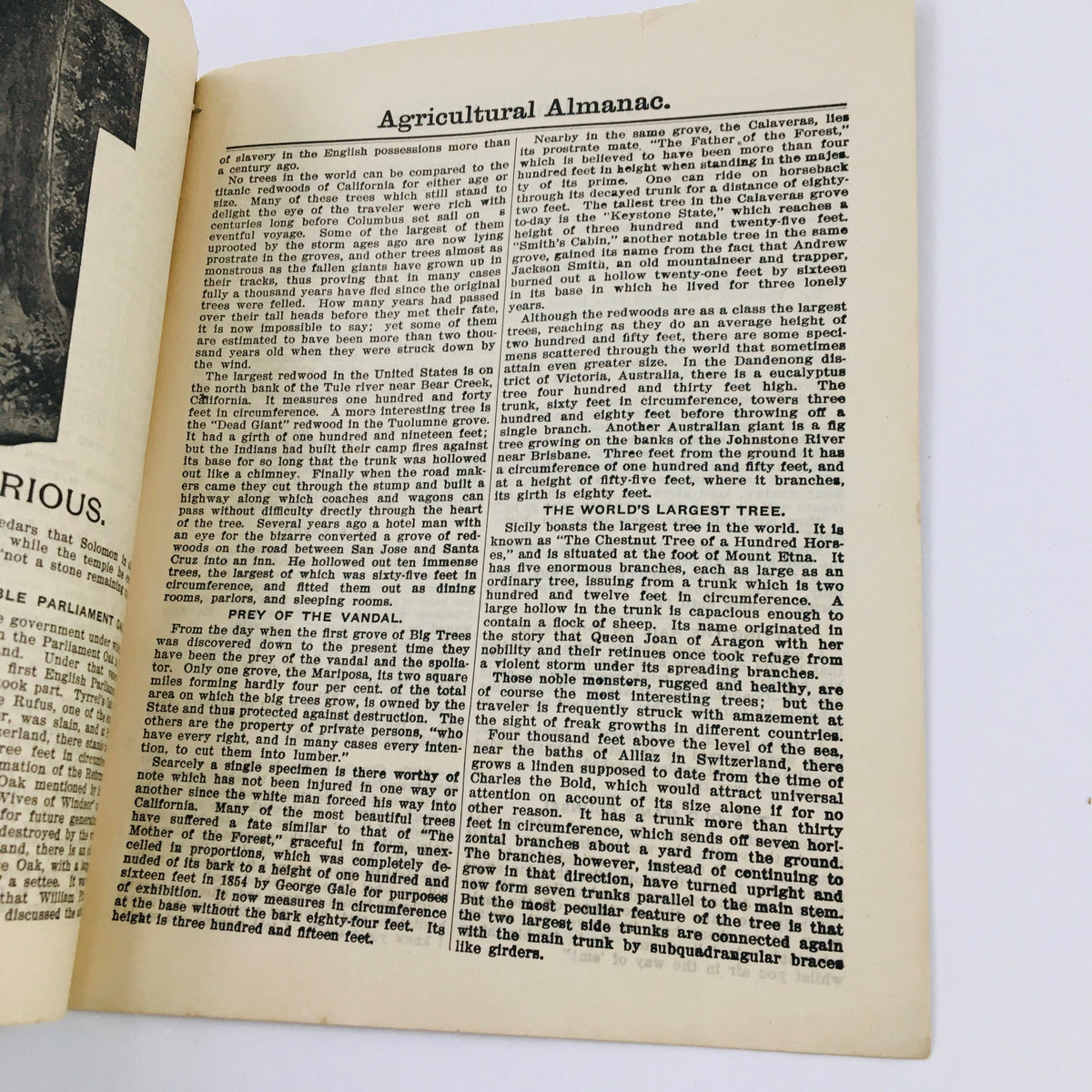 Interior page of the Agricultural Almanac for the Year of Our Lord 1908, containing information and historical context related to agriculture.