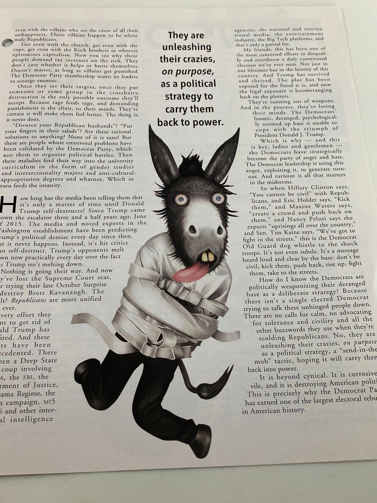 Illustrated page from the Rush Limbaugh Letter Newsletter Magazine November 2018, depicting a donkey character restrained in a straitjacket with text on political strategy under the section 'Democrats: Empowering Psycho Disorders'.