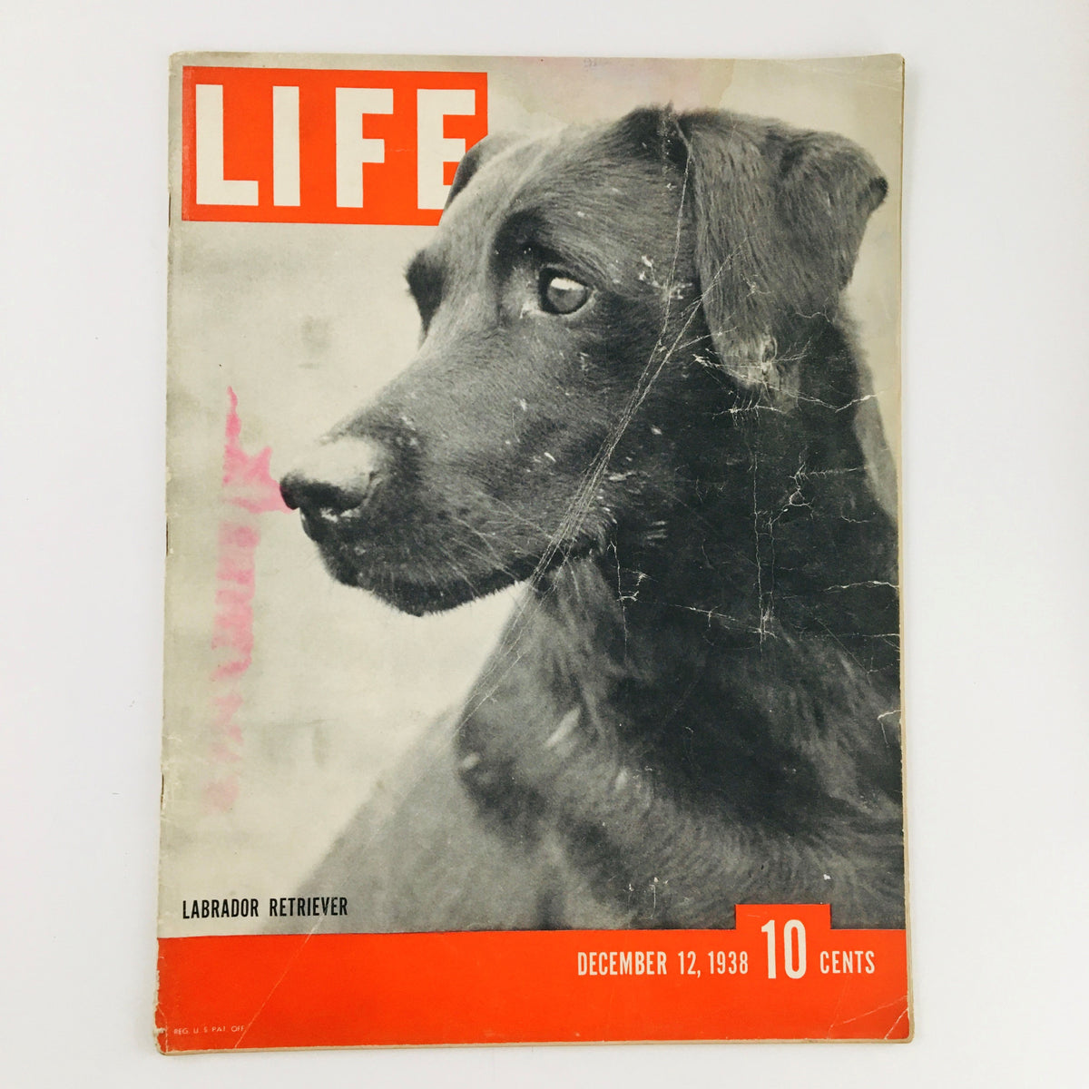 Cover of VTG Life Magazine December 12 1938 featuring an image of a Labrador Retriever, showcasing the dog’s profile with the magazine title prominently displayed.