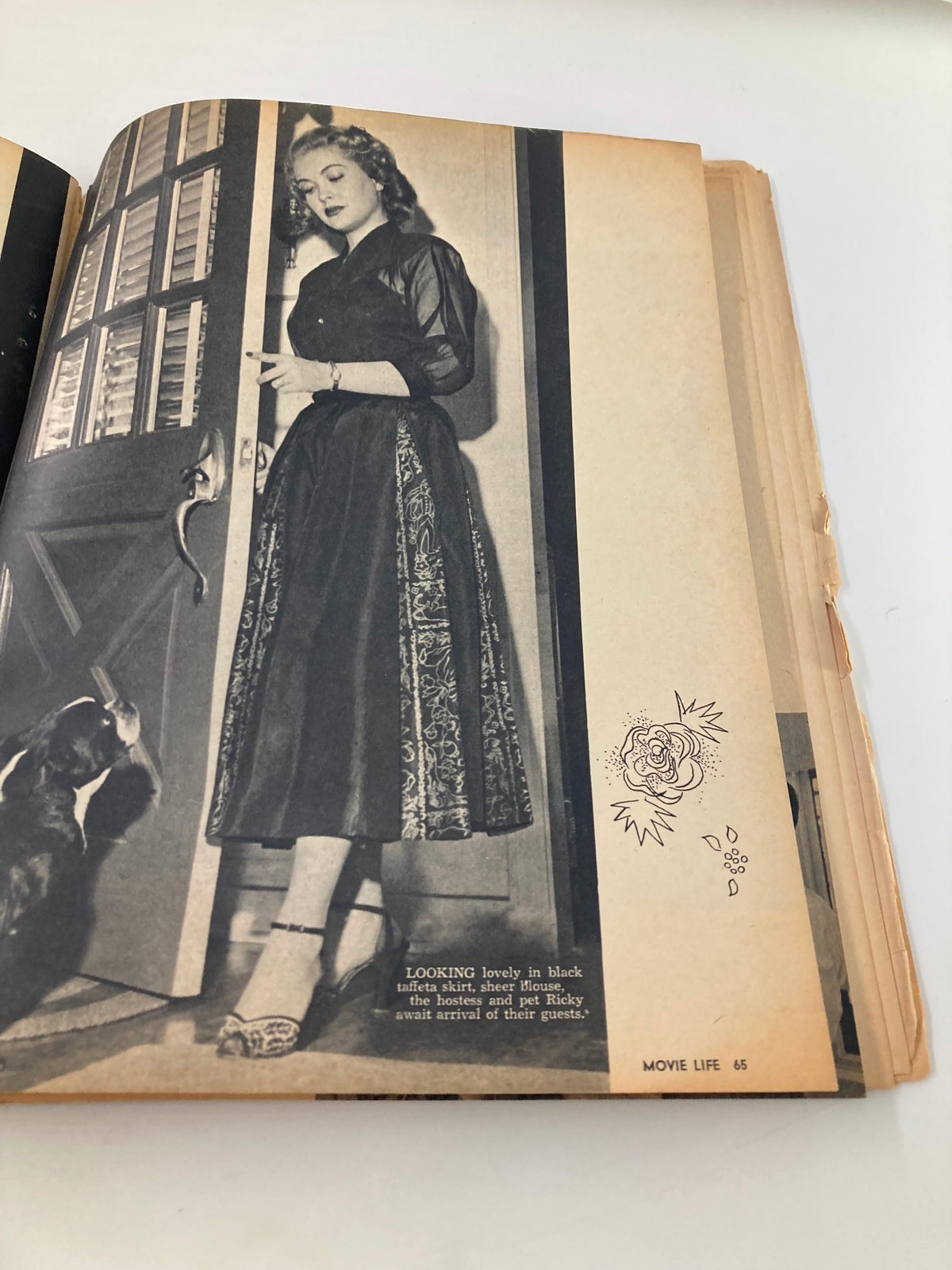 Image from VTG Movie Life Magazine October 1952 featuring actress Ann Blyth in a black taffeta skirt, standing at the door with her pet dog, showcasing vintage fashion and Hollywood charm.