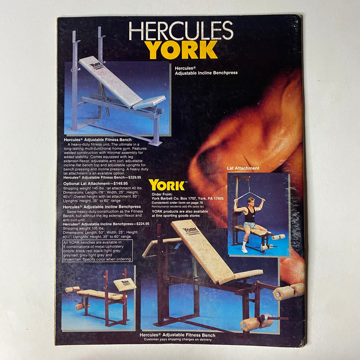 Back cover of Muscular Development Magazine January 1987 showcasing the Hercules Adjustable Fitness Bench, including product details and pricing information.