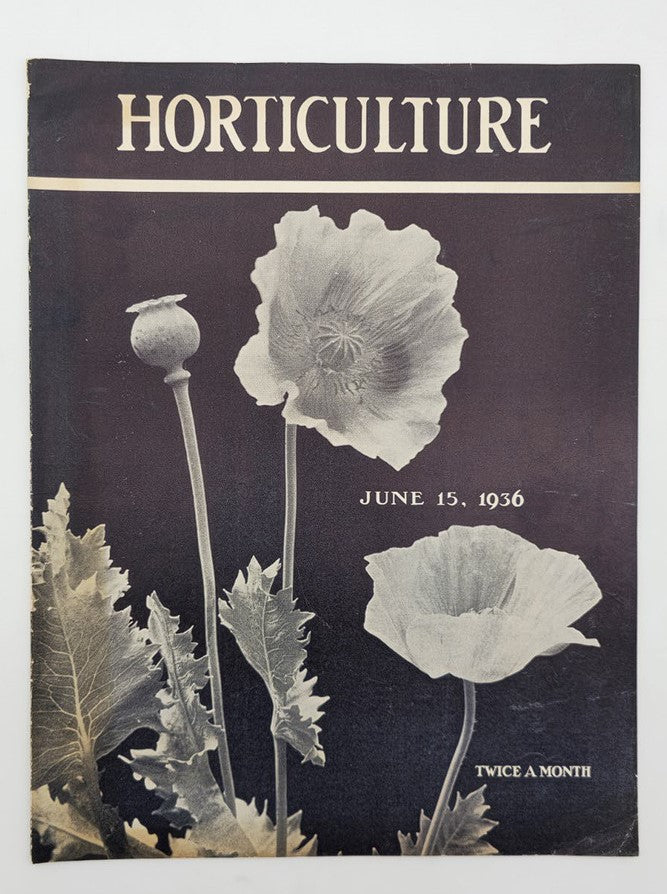 Vintage Horticulture Magazine June 15 1936 Oriental Poppies