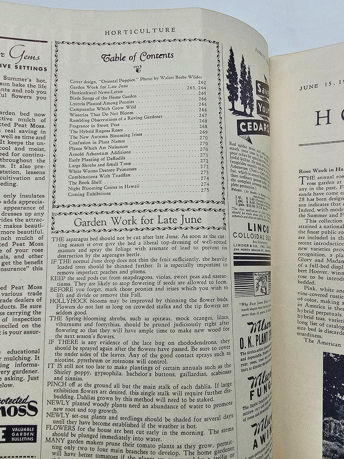 Vintage Horticulture Magazine June 15 1936 Oriental Poppies