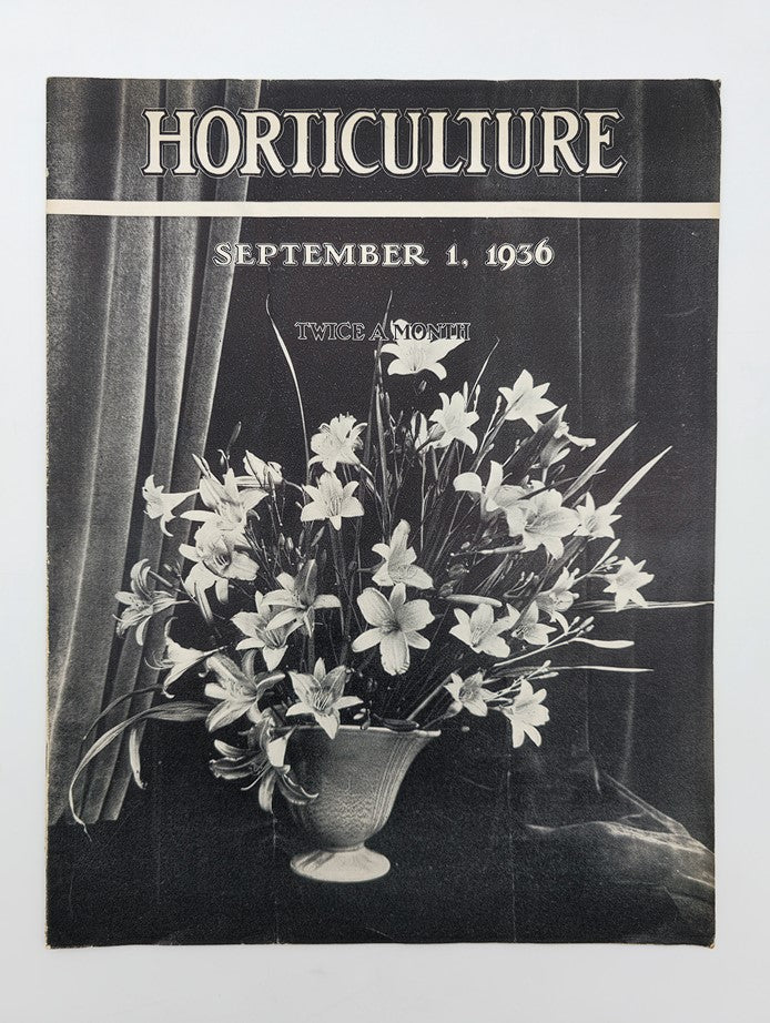 Vintage Horticulture Magazine September 1 1936 An Arrangement of Daylilies