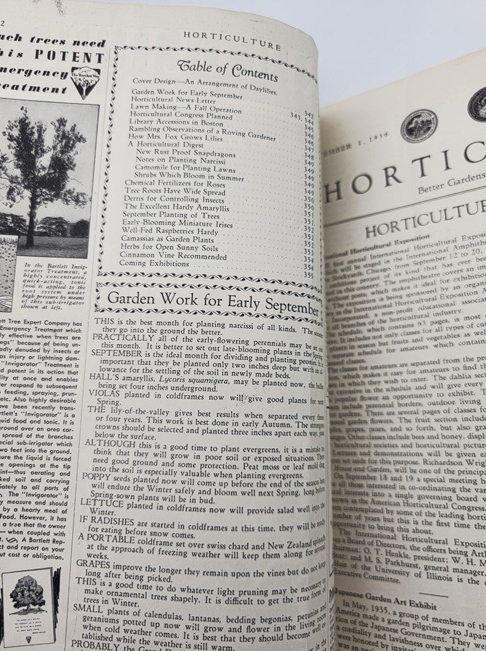 Vintage Horticulture Magazine September 1 1936 An Arrangement of Daylilies