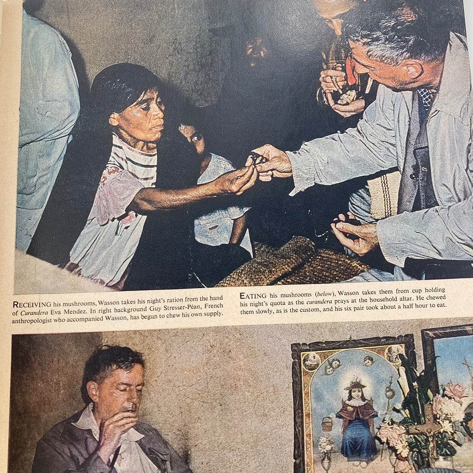 Image from the VTG Life Magazine May 13 1957 depicting a scene of individuals receiving and consuming mushrooms, illustrating anthropological traditions.