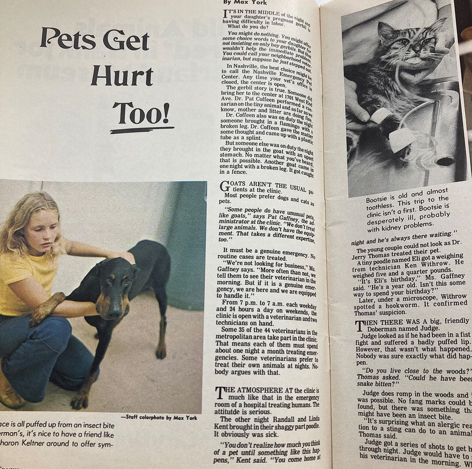 Inside page of The Tennessean Magazine October 1977 featuring an article titled 'Pets Get Hurt Too!' with images of a girl and a Doberman dog, highlighting the importance of animal care and veterinary services.