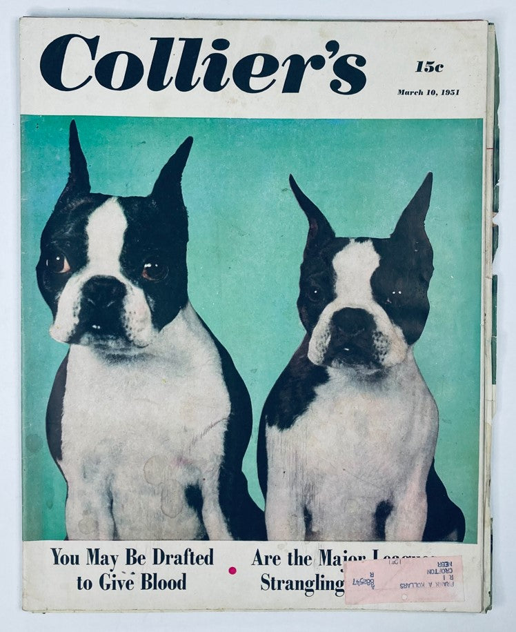 Cover of VTG Collier's Magazine March 10 1951 Vol 127 No. 10 featuring two Boston Terrier dogs and headlines about blood donation and major league sports.