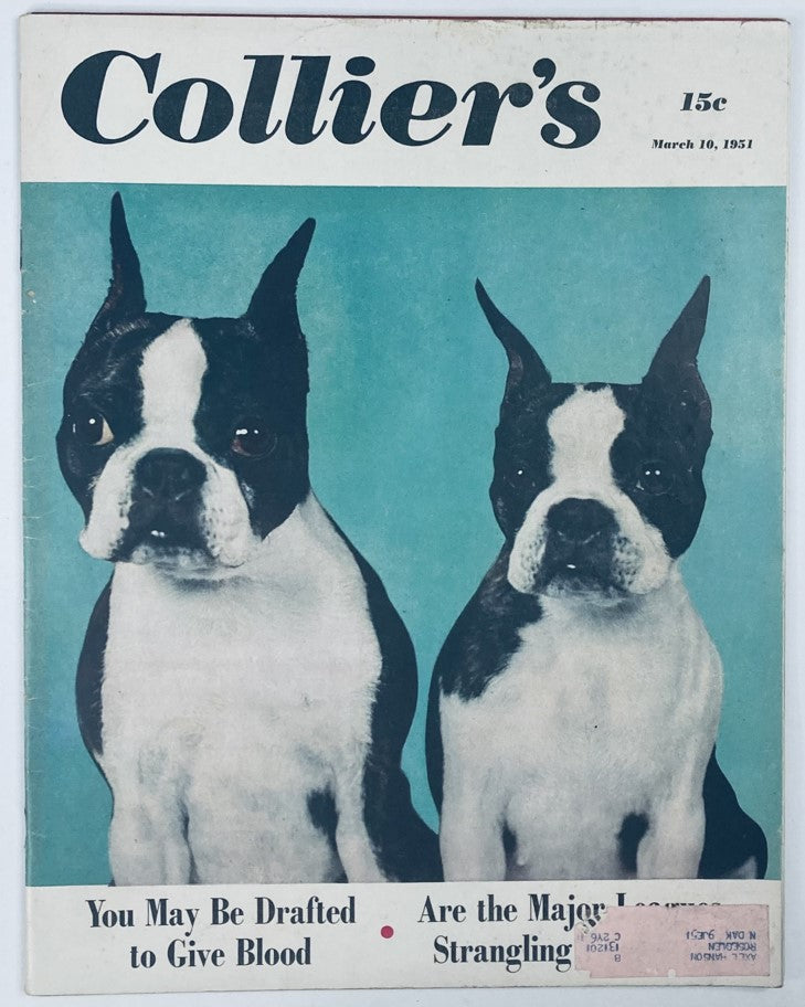 VTG Collier's Magazine March 10 1951 featuring a cover image of two Boston Terriers, highlighting articles about blood donation and major league sports, Volume 127, Number 10.