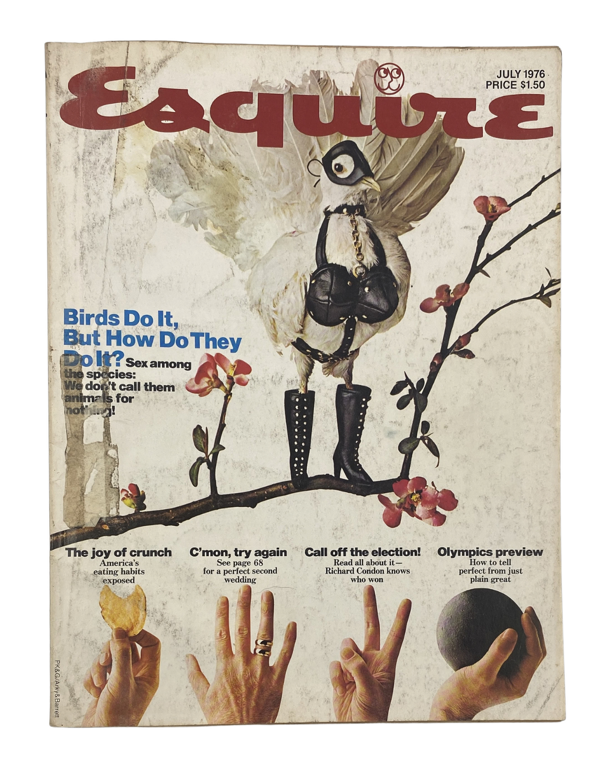 Cover of Esquire Magazine from July 1976 featuring a whimsical illustration of a bird in combat boots perched on a branch, with the title 'Birds Do It, But How Do They Do It? Sex among the species' and a preview of the Olympics.