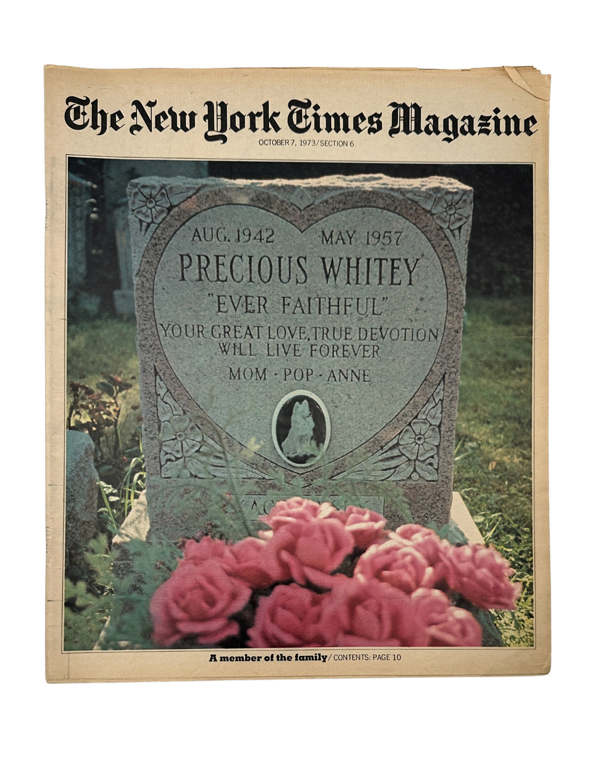 The New York Times Magazine cover dated October 7, 1973, featuring a gravestone with flowers alongside the title 'A Member of the Family'. The image showcases a memorial tribute with the inscription 'Precious Whitey' and the phrase 'Your great love, true devotion will live forever'.