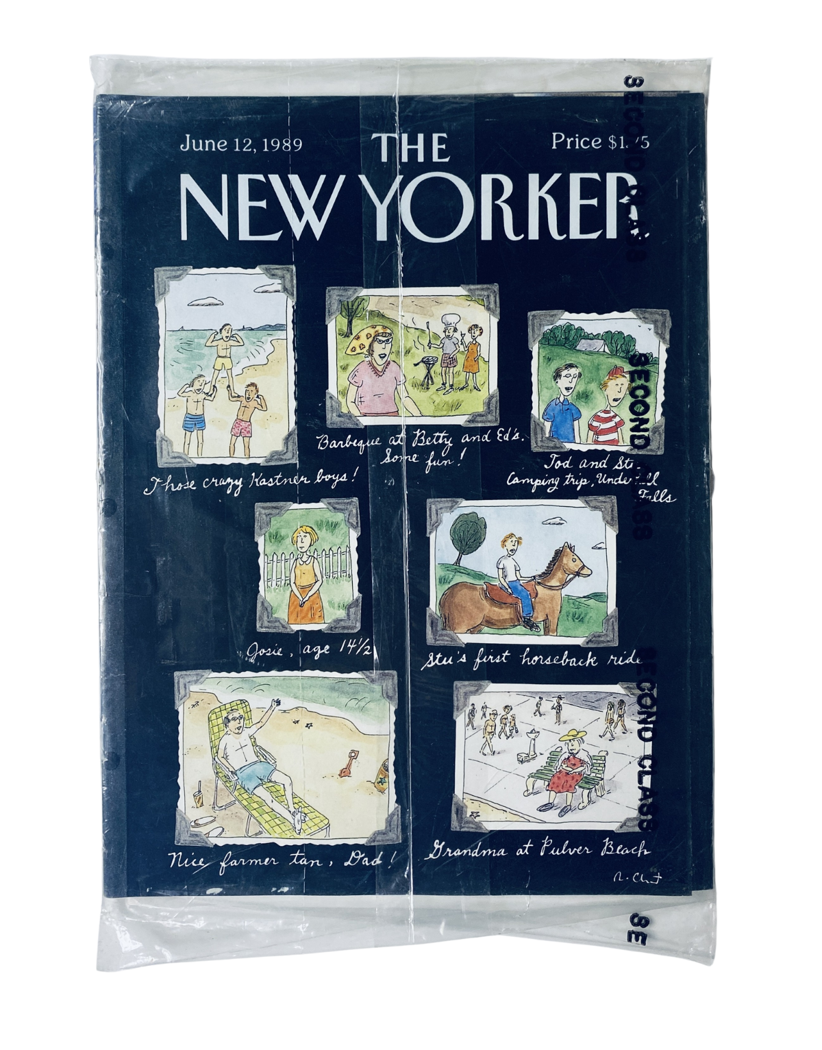 SEALED The New Yorker Magazine June 12, 1989 cover featuring Family Scrapbook illustrations by Roz Chast, showcasing various family activities and scenes, perfect for collectors of vintage magazines.
