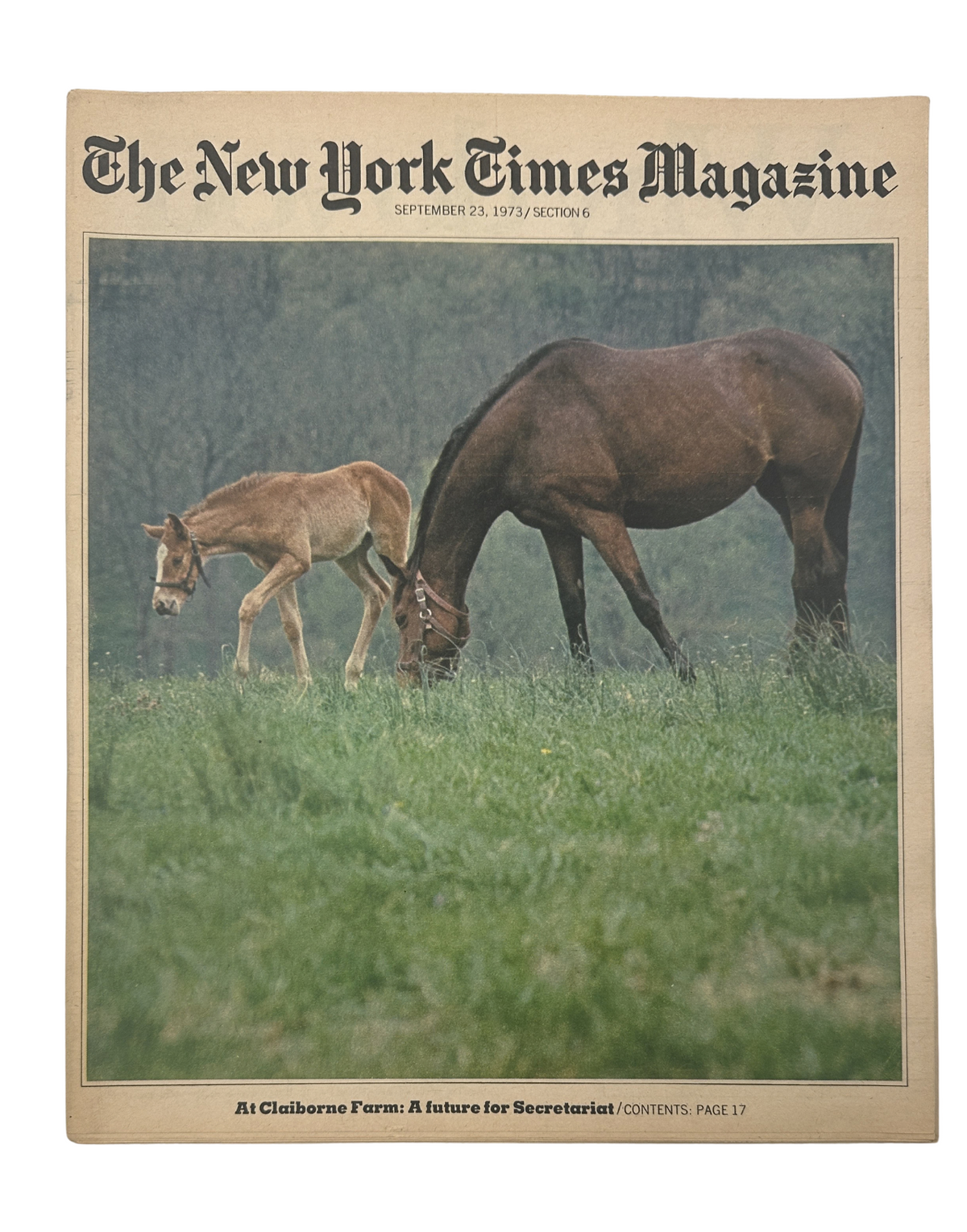 The New York Times Magazine cover from September 23, 1973, featuring a thoroughbred mare and her foal grazing at Claiborne Farm, with a caption about Secretariat's future role as a stud.